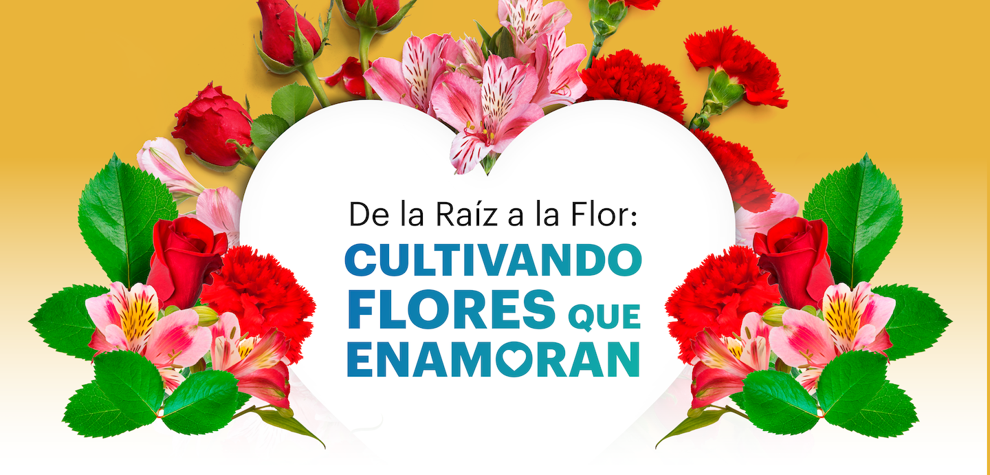 Landing_GENERAL_CAMPAÑA FLORES_cabecera Landing_GENERAL_CAMPAÑA FLORES_cabecera