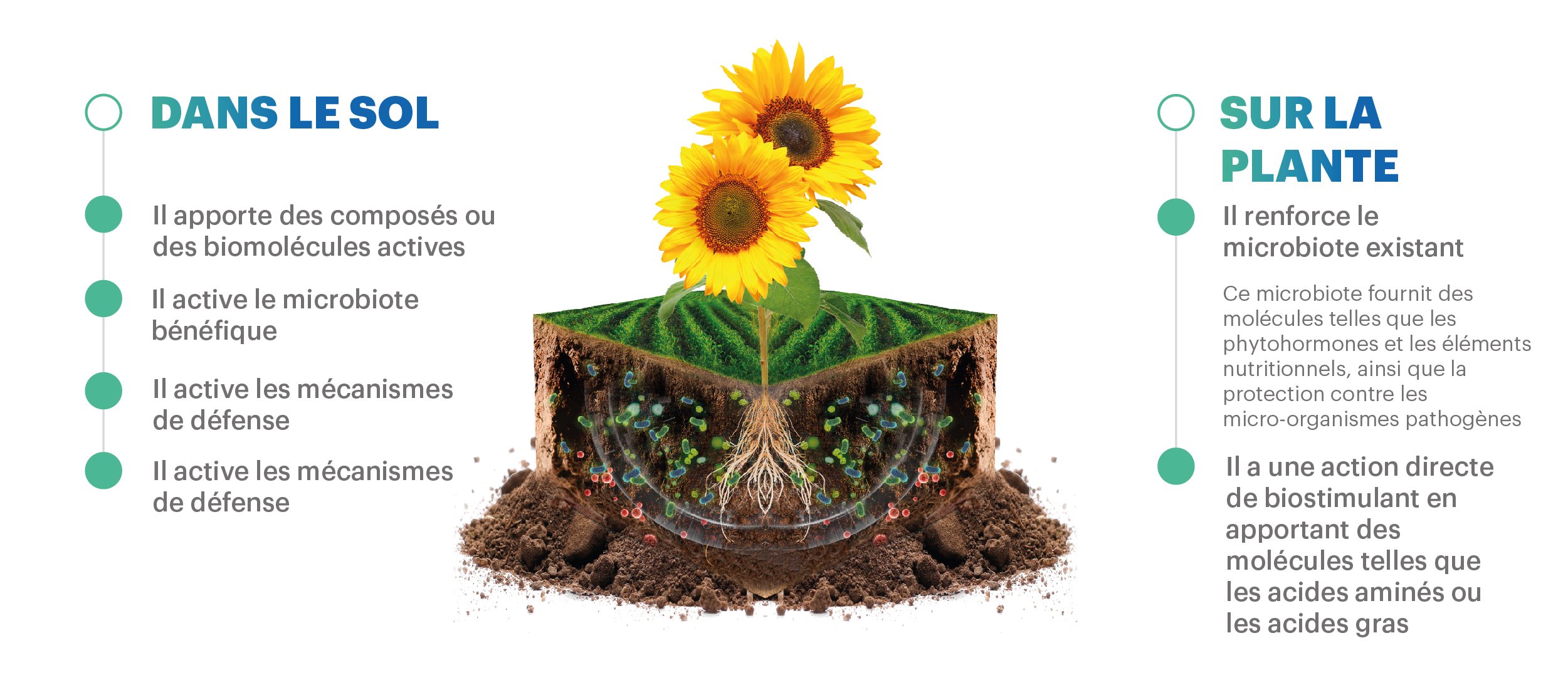 LANDING PAGE XTENDER ROW_FR_Mesa de trabajo 1 copia 2
