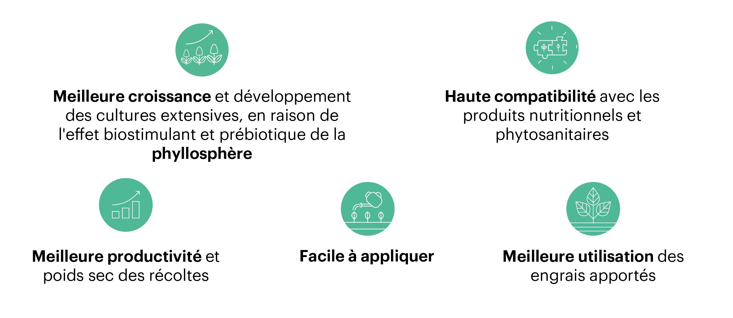LANDING PAGE XTENDER ROW_FR_Mesa de trabajo 1 copia 3