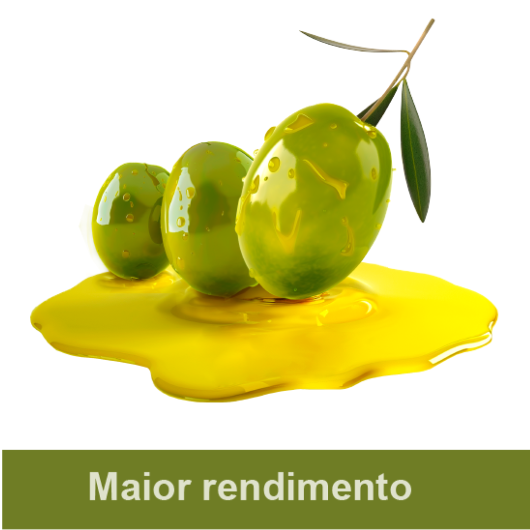 Diseño sin título