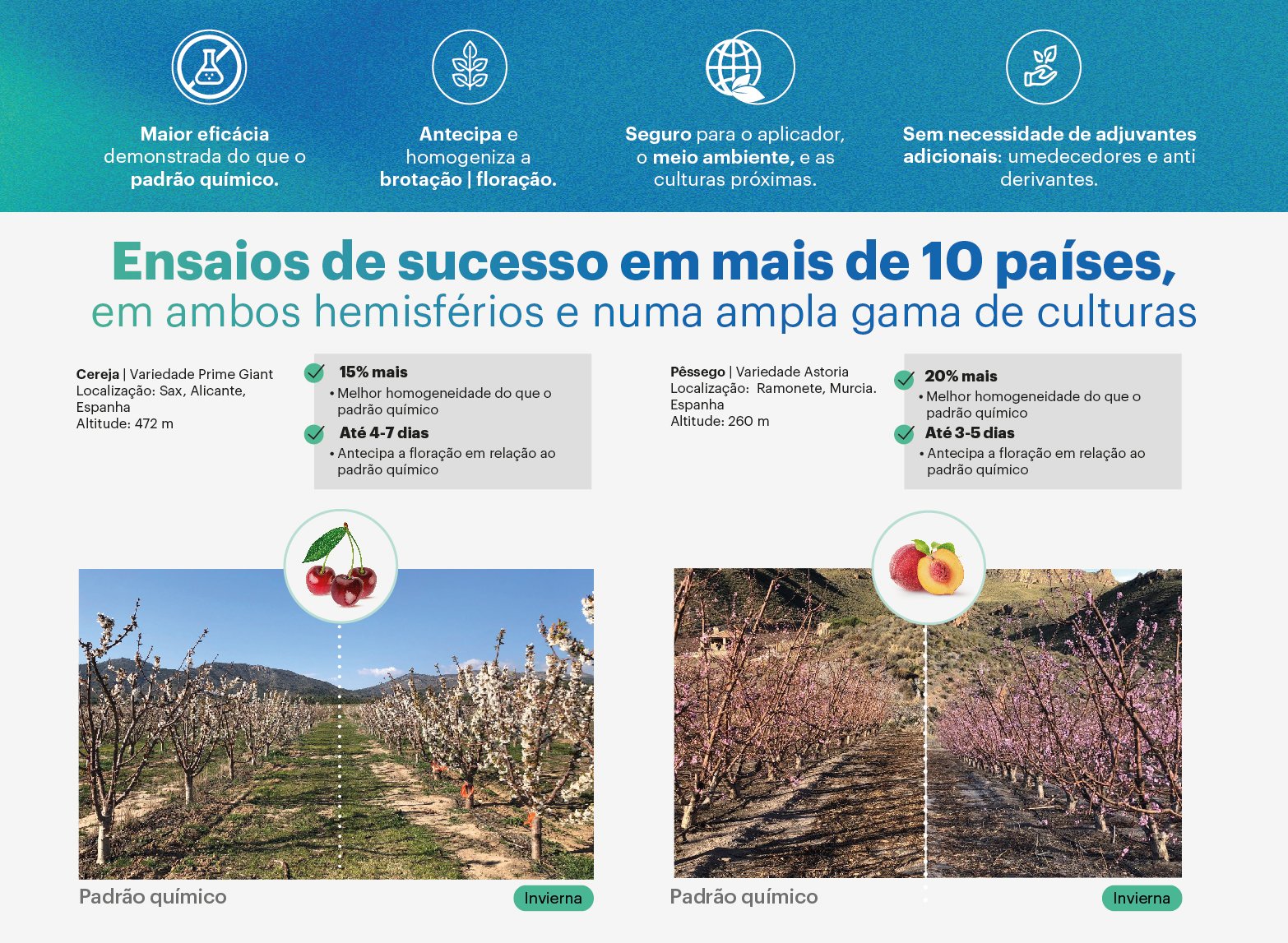 invierna_fruit 2021 landing producto_pt_Mesa de trabajo 1