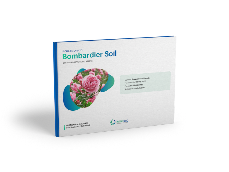libro LEAD MAGNET_Bombardier SOIL
