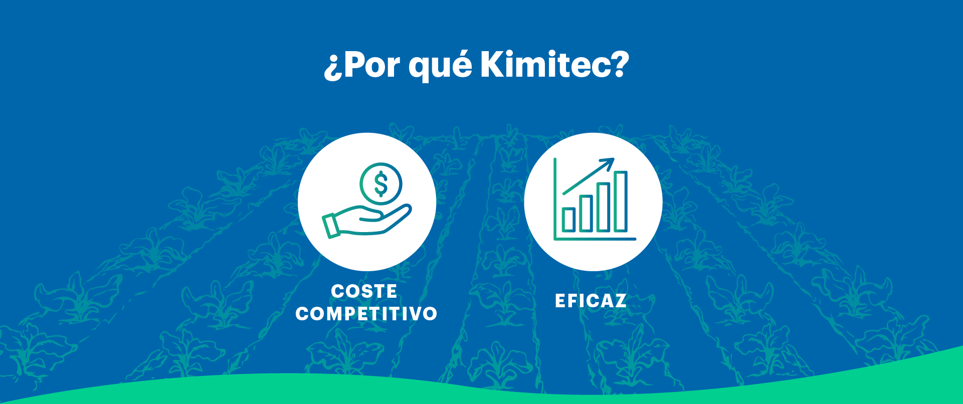 ¿Por qué Kimitec?