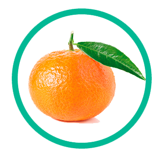 Mandarina variedad basol