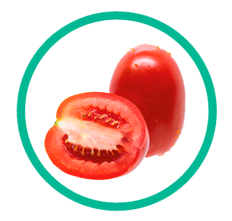 tomate de industria