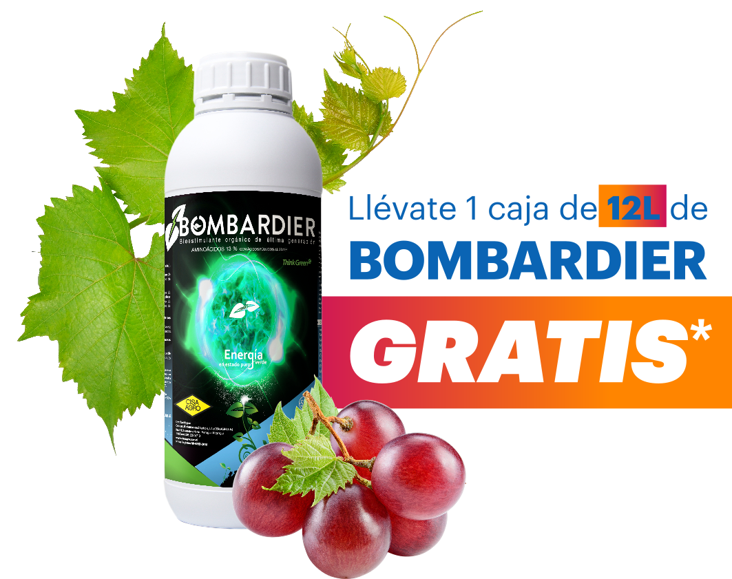 Llévate 1 caja de 12L de Bombardier GRATIS*